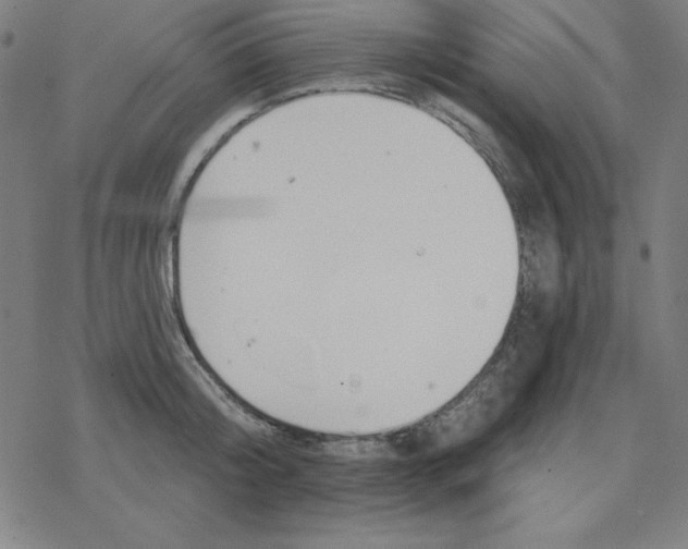 X0000078270804200612011718