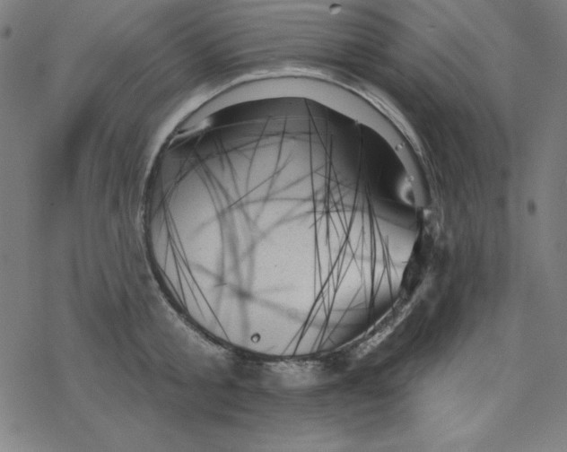 X0000078270805200612011718