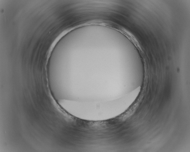 X0000078270808200612011718