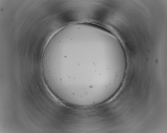 X0000078270810200612011718