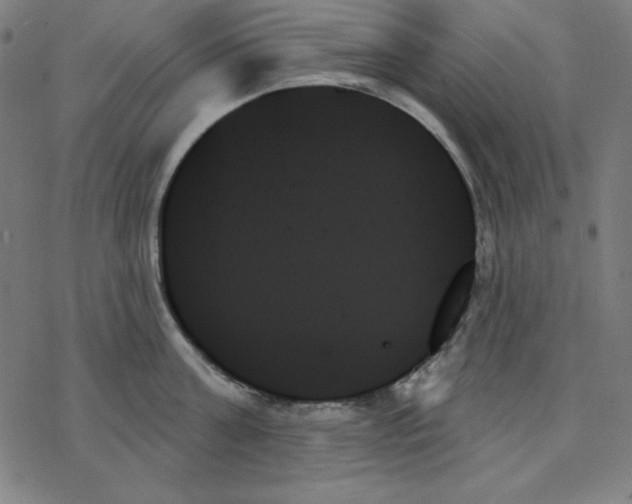 X0000078270811200612011718