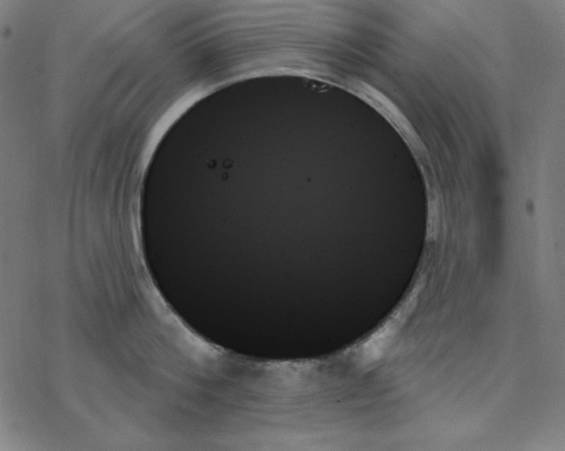 X0000078270812200612011718