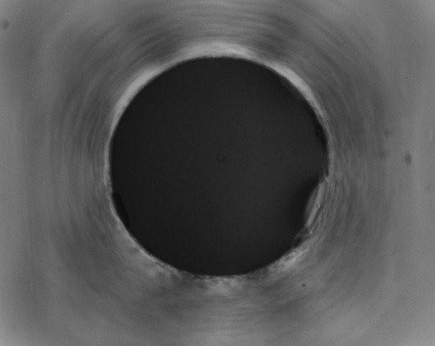 X0000078270815200612011718