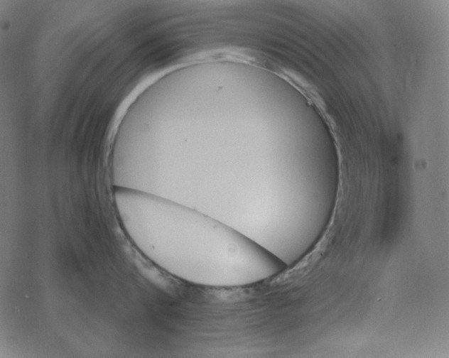 X0000078270816200612011718