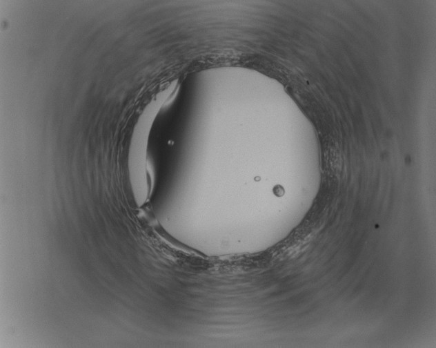 X0000078270818200612011717