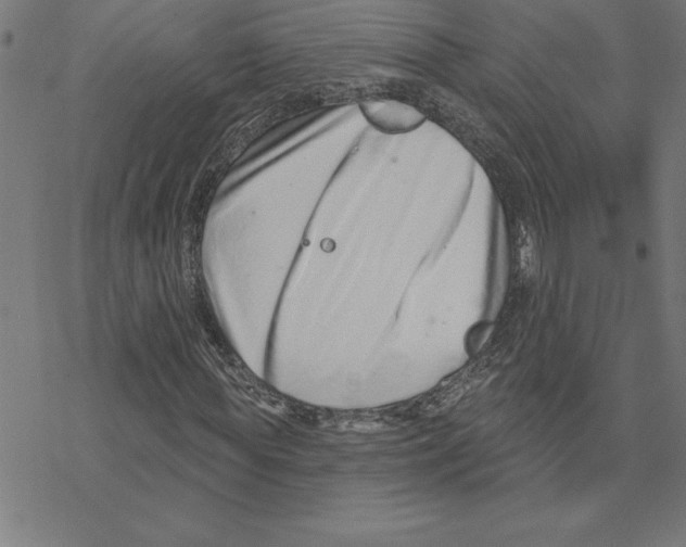 X0000078270819200612011717