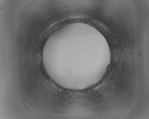 X0000078270821200612011717