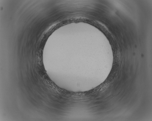 X0000078270823200612011717