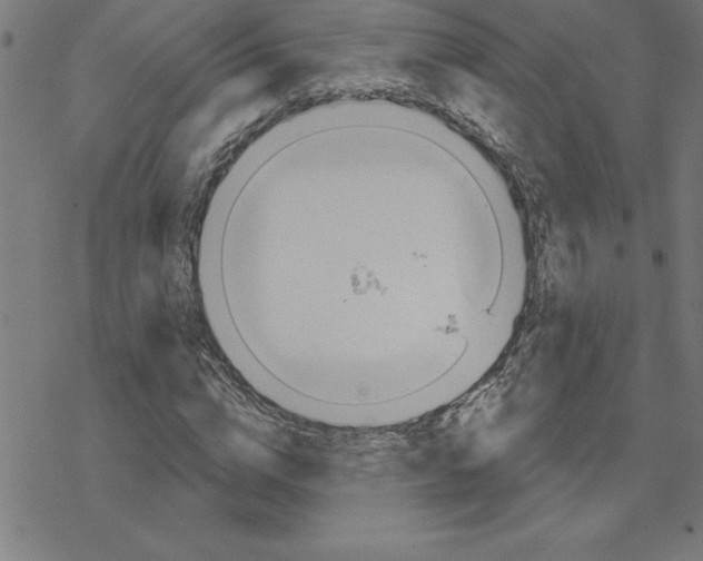 X0000078270824200612011717