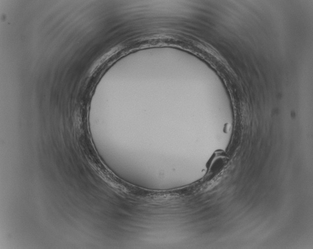 X0000078270826200612011717