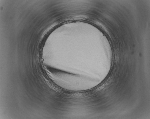 X0000078270827200612011717