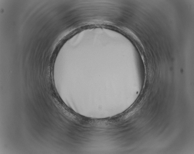 X0000078270831200612011717