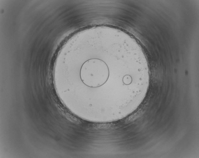 X0000078270832200612011717