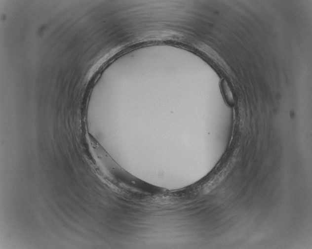 X0000078270834200612011717