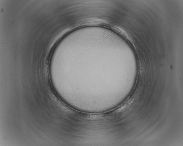 X0000078270835200612011717