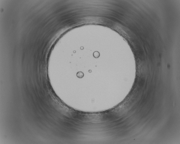 X0000078270836200612011717