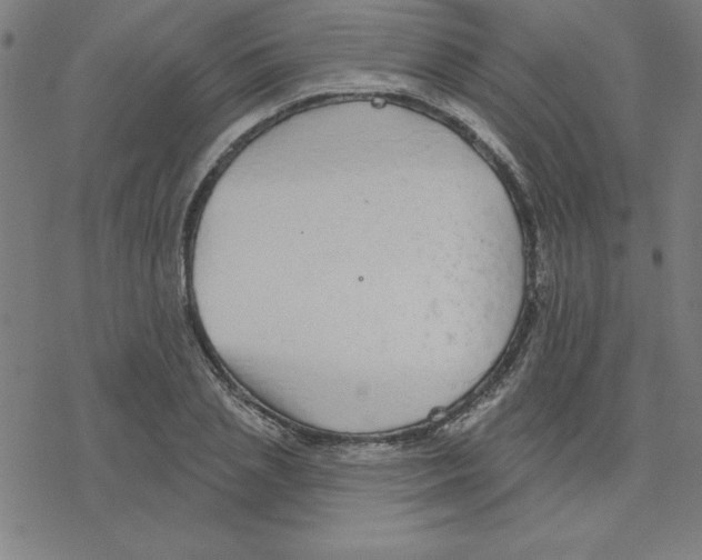 X0000078270837200612011717