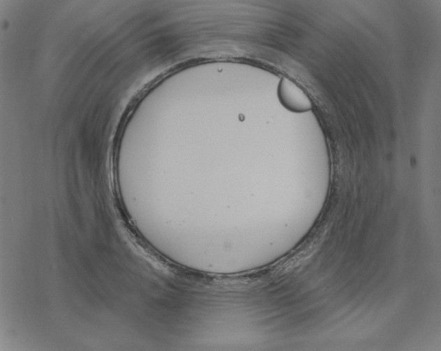 X0000078270840200612011717