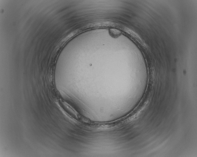 X0000078270841200612011717