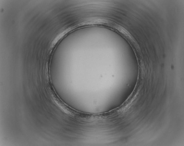 X0000078270842200612011717