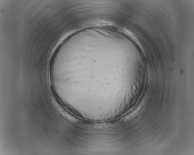 X0000078270843200612011717