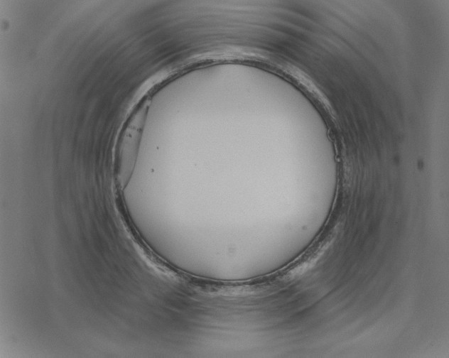 X0000078270845200612011717