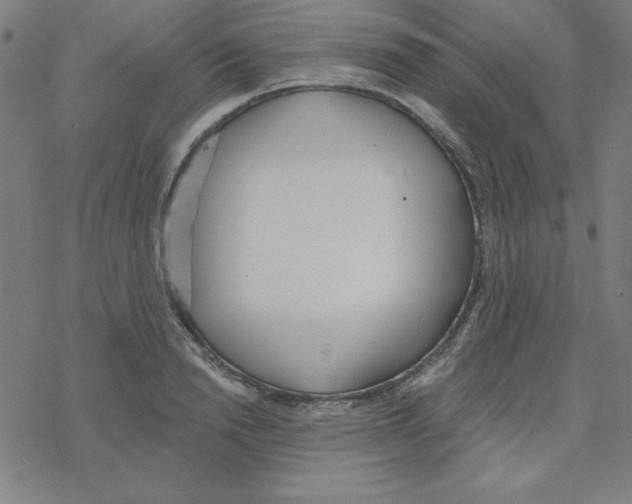 X0000078270846200612011717