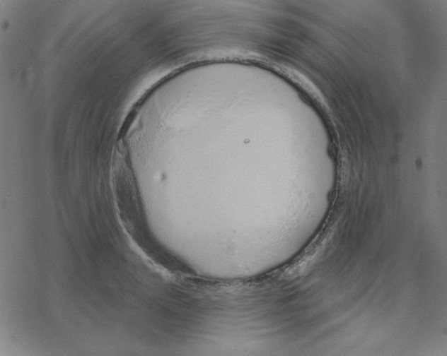 X0000078270847200612011717