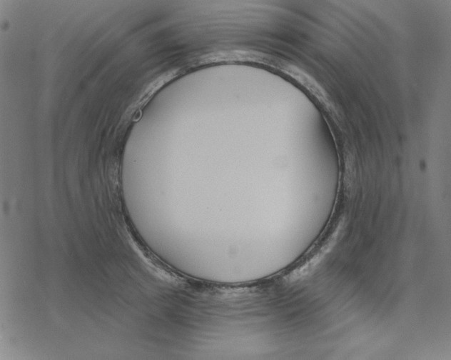 X0000078270849200612011717