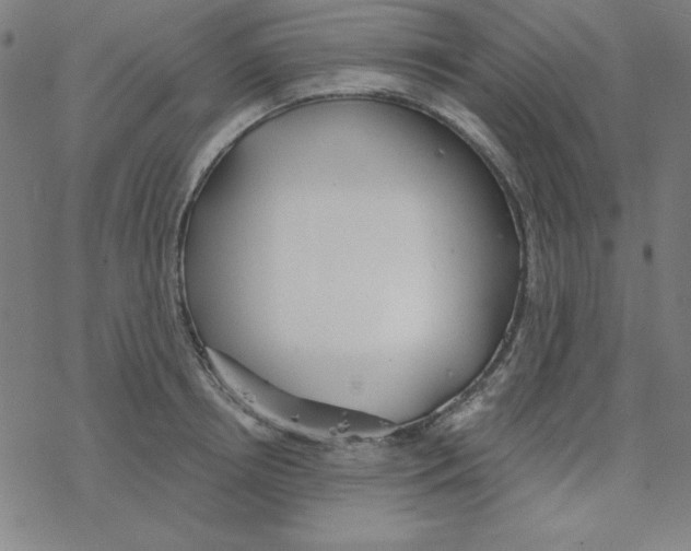 X0000078270850200612011717