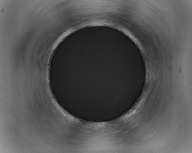 X0000078270853200612011717