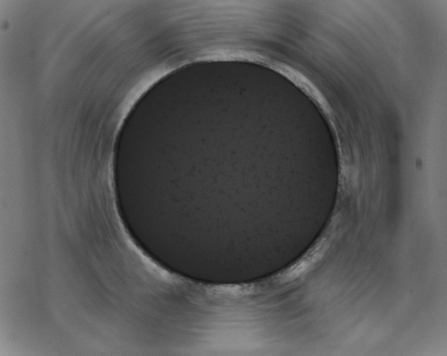 X0000078270855200612011717