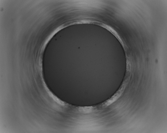 X0000078270859200612011717