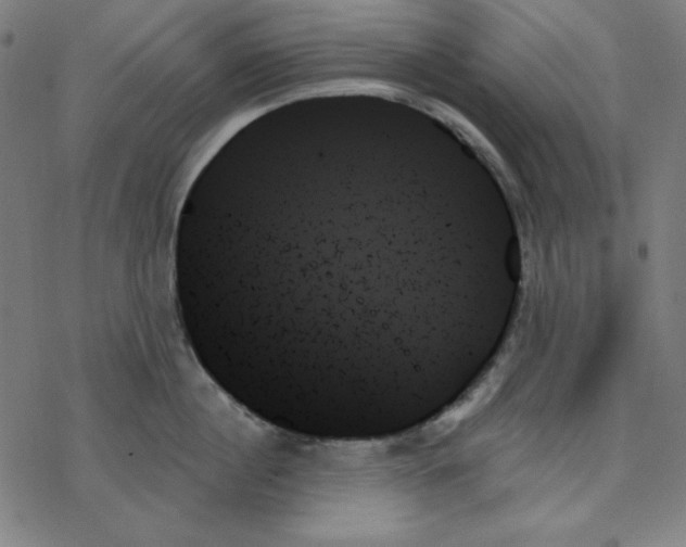 X0000078270860200612011717