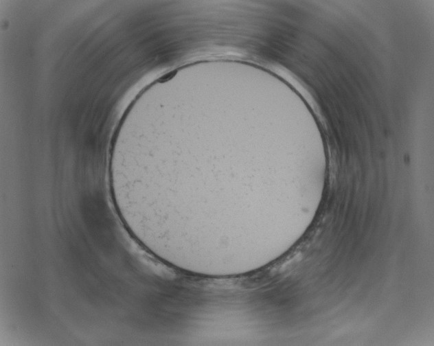 X0000078270861200612011717