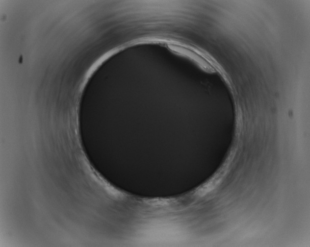 X0000078270862200612011718