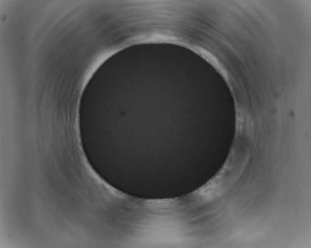 X0000078270863200612011718