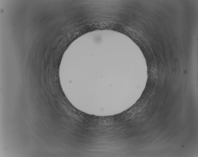 X0000078270865200612011717