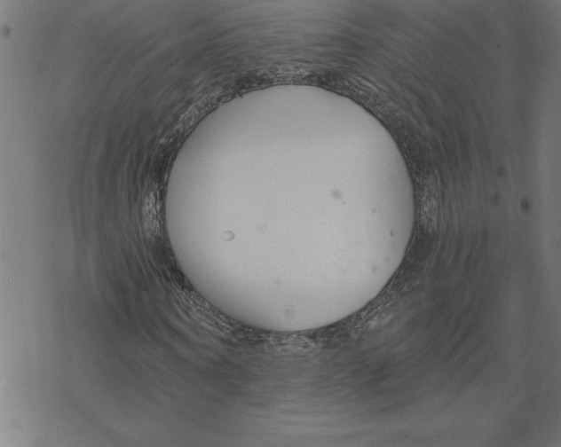 X0000078270866200612011717