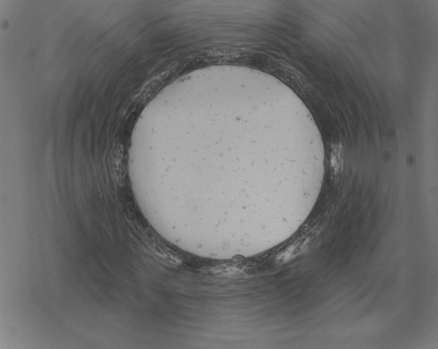 X0000078270867200612011717