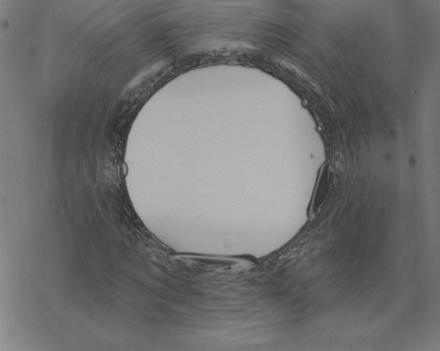 X0000078270869200612011717