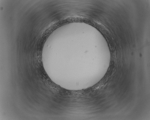 X0000078270870200612011717