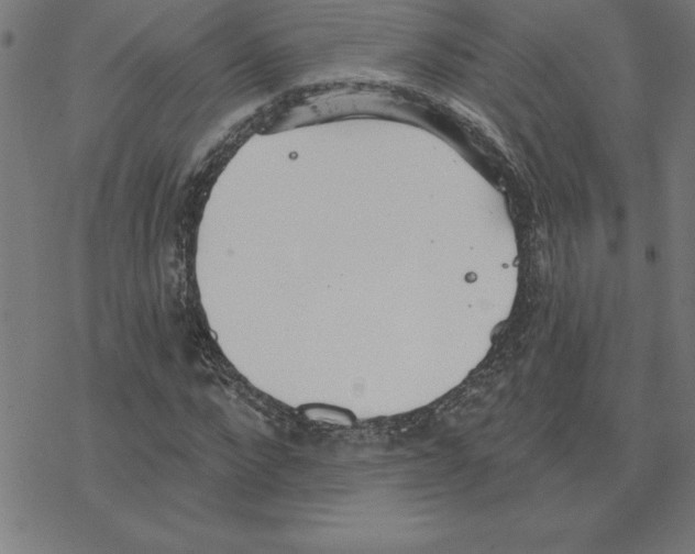 X0000078270872200612011717