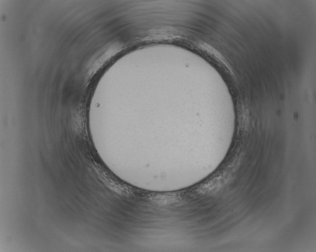 X0000078270874200612011717