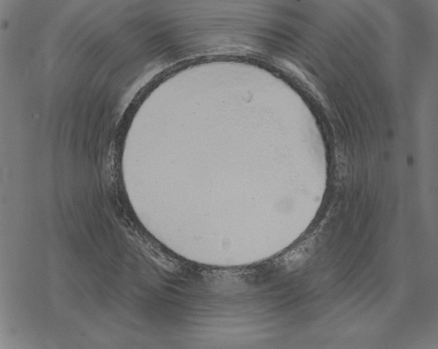 X0000078270875200612011717