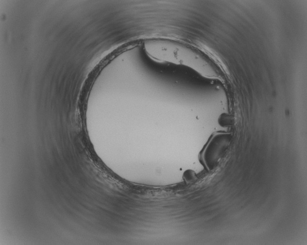 X0000078270876200612011717