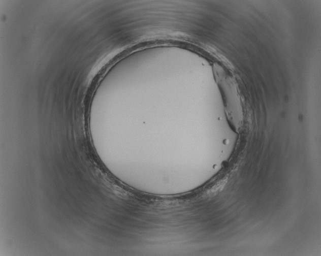 X0000078270877200612011717