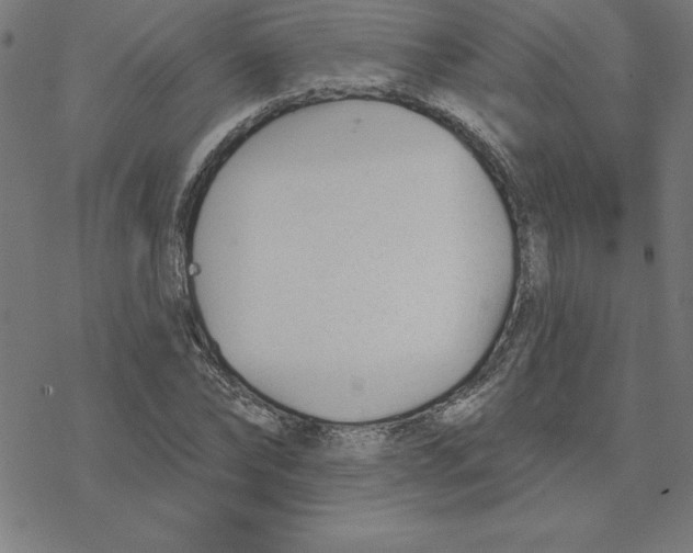 X0000078270878200612011717