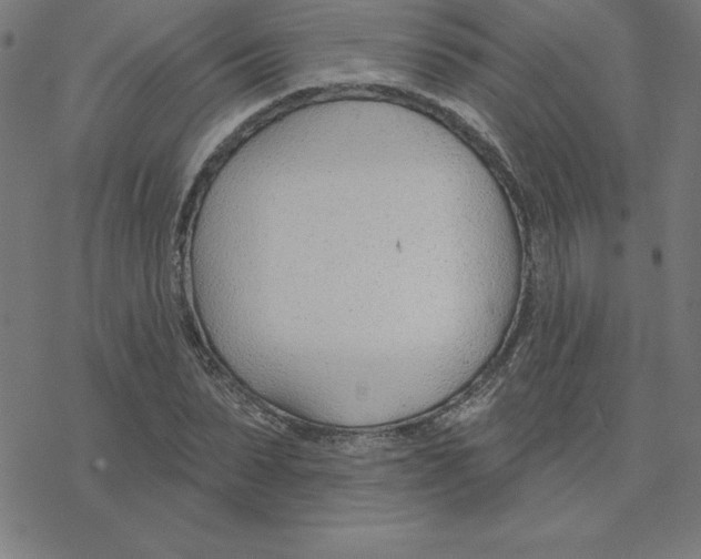 X0000078270879200612011717