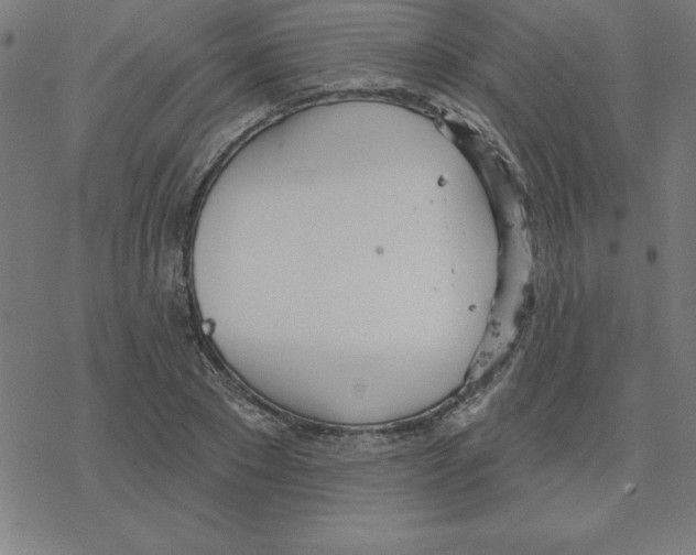 X0000078270881200612011717